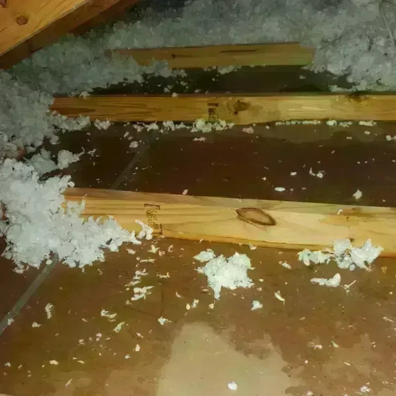 Attic Water Damage in Gage County, NE